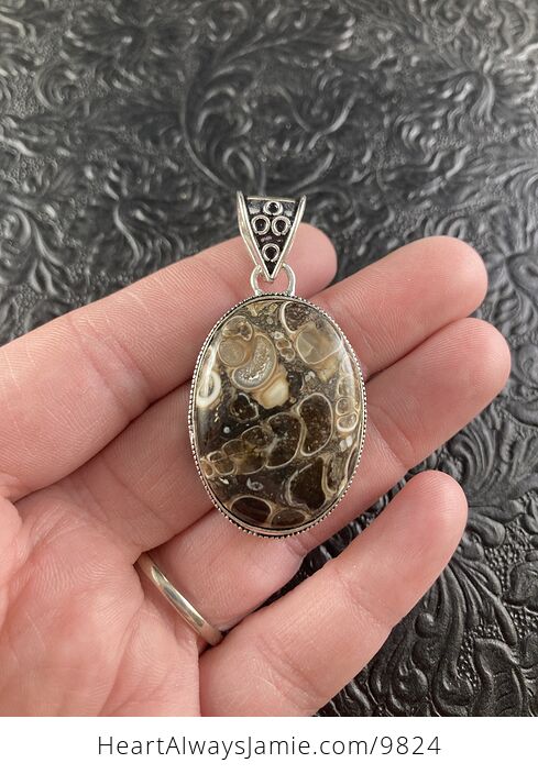 Turritella Fossil Agate Stone Crystal Jewelry Pendant - #yLsFua6uPvo-2