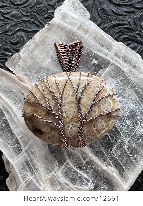 Wire Wrapped Double Tree of Life Agatized Coral Fossil Gemstone Stone Jewelry Crystal Pendant - #fD10jRSgkM4-5