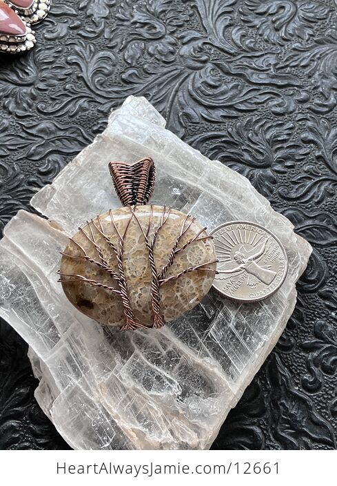 Wire Wrapped Double Tree of Life Agatized Coral Fossil Gemstone Stone Jewelry Crystal Pendant - #fD10jRSgkM4-6